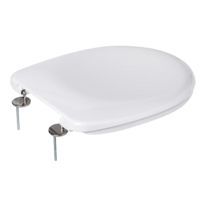 Capac WC miscellaneous capac WC Duraplast BEMIS POTENZA SS WHITE 2202ST000