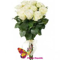 Buchet de 15 Trandafiri albi  PREMIUM OLANDA 80-90CM