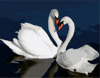 Картина по номерам 40x50 Лебеди в воде VA2662