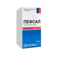 cumpără Pefsal 25mcg/250mcg 120 doze susp.de inhalat în Chișinău