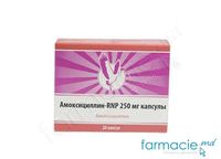 Amoxicilin caps. 250 mg  N10x2 (RNP)