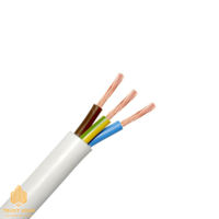 Fir electric PVS 3 x 2.5 mm