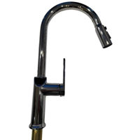 Смеситель кухонный Backer EVF22