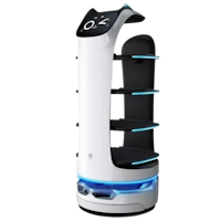 Интелектуальные роботы для обслуживания