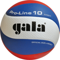 Мяч волейбольный №5 Gala Pro Line 10 5581 (1135)