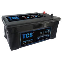 Зарядные устройства и аккумуляторы TCS SMF 210H52