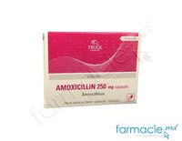 Amoxicilina 250 mg caps. N10 (Troge)