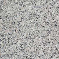 {'ru': 'Гранит Rock Star Серый термически обработанный 60 х 30 х 2,5 см', 'ro': 'Granit Rock Star Grey Fiamat 60 x 30 x 2.5 cm'}