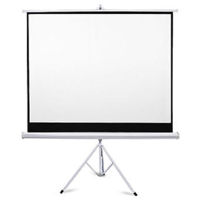 Экран для проекторов miscellaneous Tripod Projection Screen CY-TS 72"(4:3), 145x110cm, Matte White