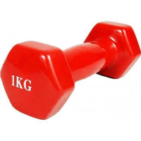 Гантель Arena A80144 гантели A801 1kg