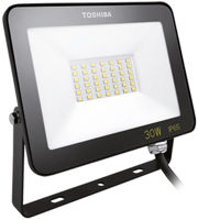 Прожектор Toshiba 00172836 Projector LED IP65 30W 6500K (Negru)
