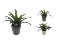 Plantă decorativă de Aloe ProGarden, 25cm,  în ghiveci, gri