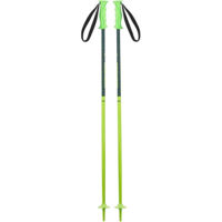 Лыжные палки Elan HOT ROD JR green 100