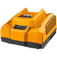 Încărcătoare și Acumulatoare INGCO FCLI20411 (47613)