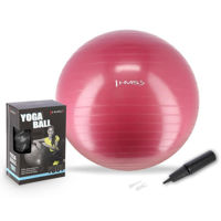 Мяч HMS 4824 Minge gimnastica d=65cm cu pompa Plum YB01 (17-42-162)