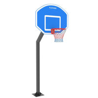 Coș de baschet PlayPark 2463 Stalp de Baschet BFS-03