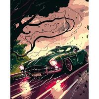 Картина по номерам Strateg R 8 /25 (DY392)(53754) Viteza in ciuda vantului, 40x50 cm