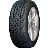 Шина Dunlop 205/60 R16 Winter SPT5 95H