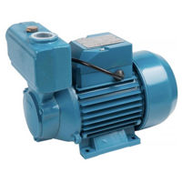 Насос IBO WZI250 (230V)