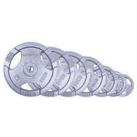 Набор чугунных дисков d=30 мм (14 шт. от 1.25 до 25 кг) inSPORTline Hamerton 12708