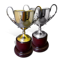 Наградные кубки