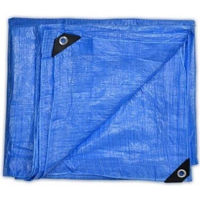 Prelată Beorol 0600114 Prelata 80gr/m2 600x400 cm (CU4X6)