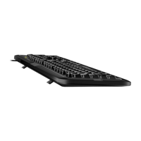 Keyboard Genius KB-118, Classic, Laser-Printed Keycaps, Spill-Resistant, 1.4m, Black, USB