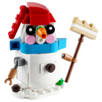 Конструктор Lego 30645 Creator Om de zapada