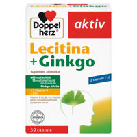 Lecitina+Gingko 600mg+15mg caps. N30 Doppelherz