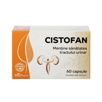 cumpără SBA Cistofan caps. N60 în Chișinău