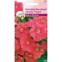 купить Семена Петуния радуга 0,1 г  DS в Кишинёве