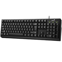 Keyboard Genius Smart KB-100XP, Fn keys, Spill-Resistant, Palm Rest, Curve key cap, 1.5m, Black, USB