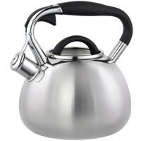 Чайник wiSmark S-016 2,7l