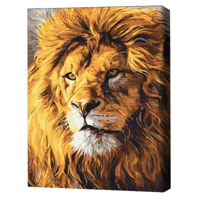 Картина по номерам BrushMe BS52292 40х50сm (în cutie) Privire de mândrie