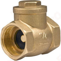 Запорная арматура Ferro Откидной клапан 1" ZZK3