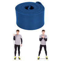 Эспандер 40-110 кг, 4.5x65x2080 мм 7264 blue (2144) inSPORTline