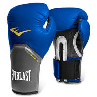 Перчатки боксерские 12 oz Everlast 2212E blue-grey (7318)