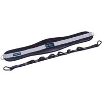 Бандаж спортивный LivePro LP8098/BK Centura Fitness cu lant Dip Belt