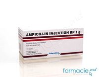 Ampicillin pulb./sol. inj. 1 g N1( India)