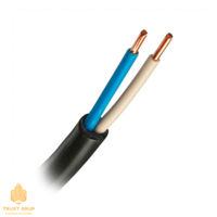 Электрический кабель ВВГ 2 х 2.5 мм