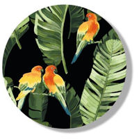 Картина по номерам BrushMe RC00018FC D30 сm (fără cutie) Papagali tropicali