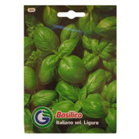 Italiano sel. Ligure 1014 (4 grame)
