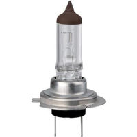 Автомобильная лампа Trifa 01617 halogen 24V H7 70W