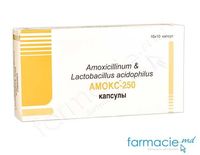 Amox (amoxicilin+lactobacterii) 250mg N10x10 caps.