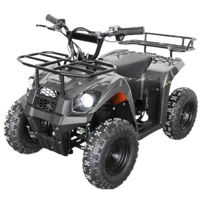 Электромобиль Richi RTM56 ATV pentru copii