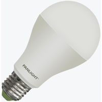 Лампочка Panlight PL-A67P25W/E27