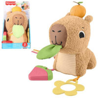 Игрушка Fisher Price HYR54 Jucărie din pluș Capybara