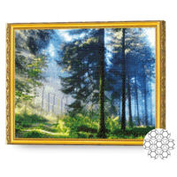 Картина по номерам Art Gallery GA74898 Mozaic cu diamante 40x50cm Ziua insorita in padure
