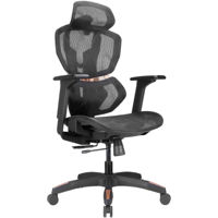 Офисное кресло Lumi LV-CH09-8, 4D Armrest, Breathable Mesh Back