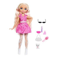 Кукла Barbie JKP50 Dream Besties Malibu
